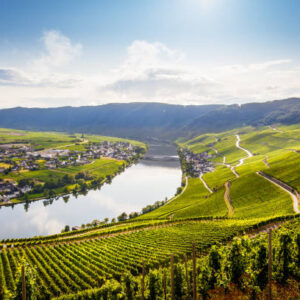 Mosel Valley and Surrounded Area Curated Destination Collection