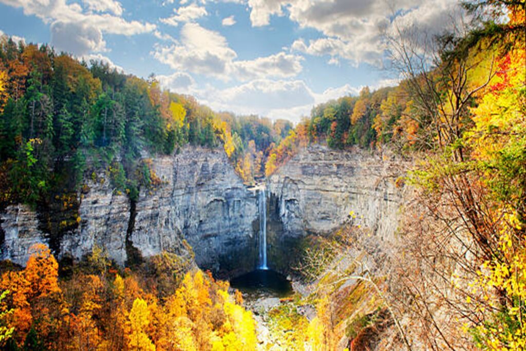 NY-Finger-Lakes